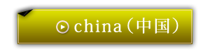中国語サイト